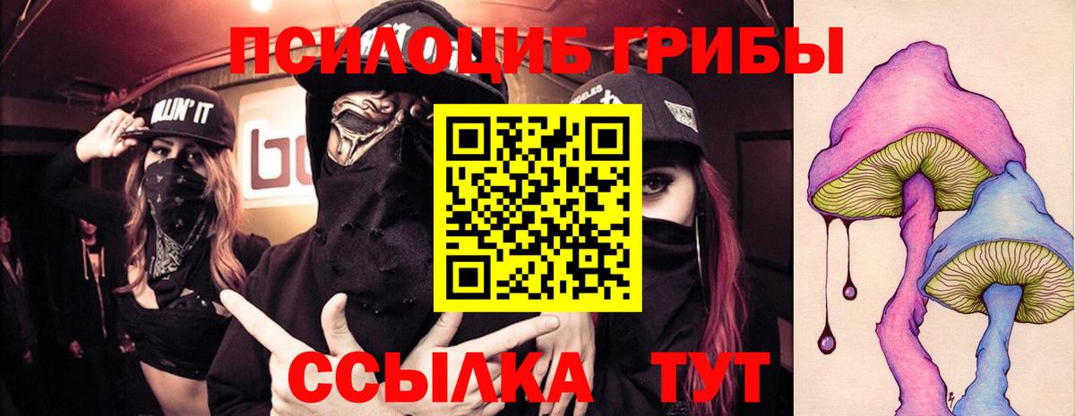 Псилоцибиновые грибы GOLDEN TEACHER Южно-Сахалинск